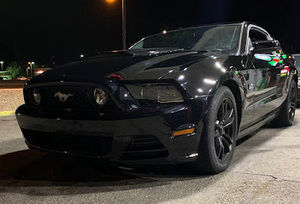 Meet your Posher, Adam